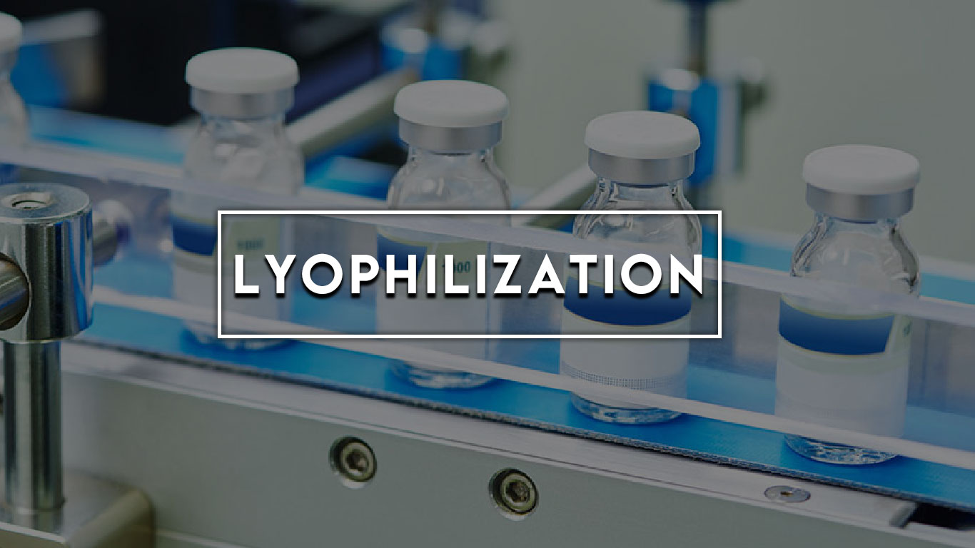 Vision Pharmaceutical Lyophilisation Vision Pharma PK